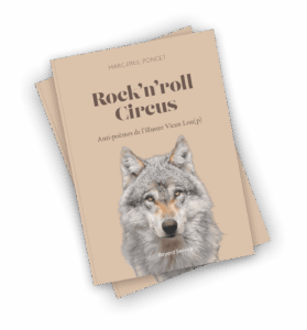 Rock’n’roll Circus