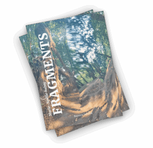 Fragments